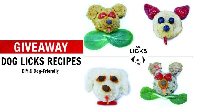 dog-licks-recipe-giveaway