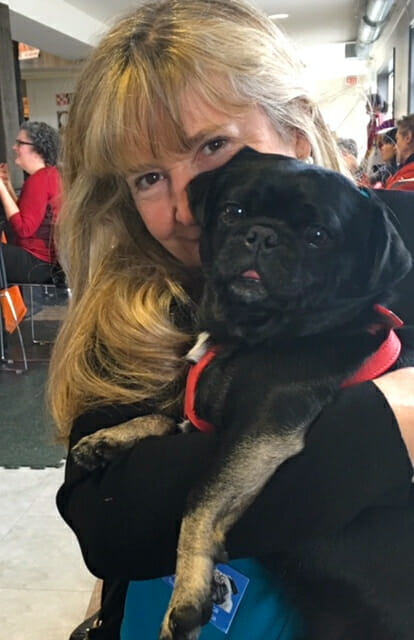 photos-from-the-best-halloween-party-just-for-pugs-susie-and-kilo-at-pawsway