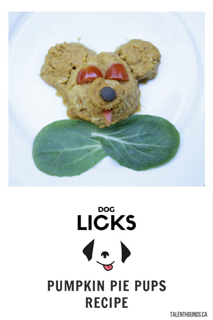 Pumpkin Pie Pups Dog Recipe Talent Hounds Dog Licks