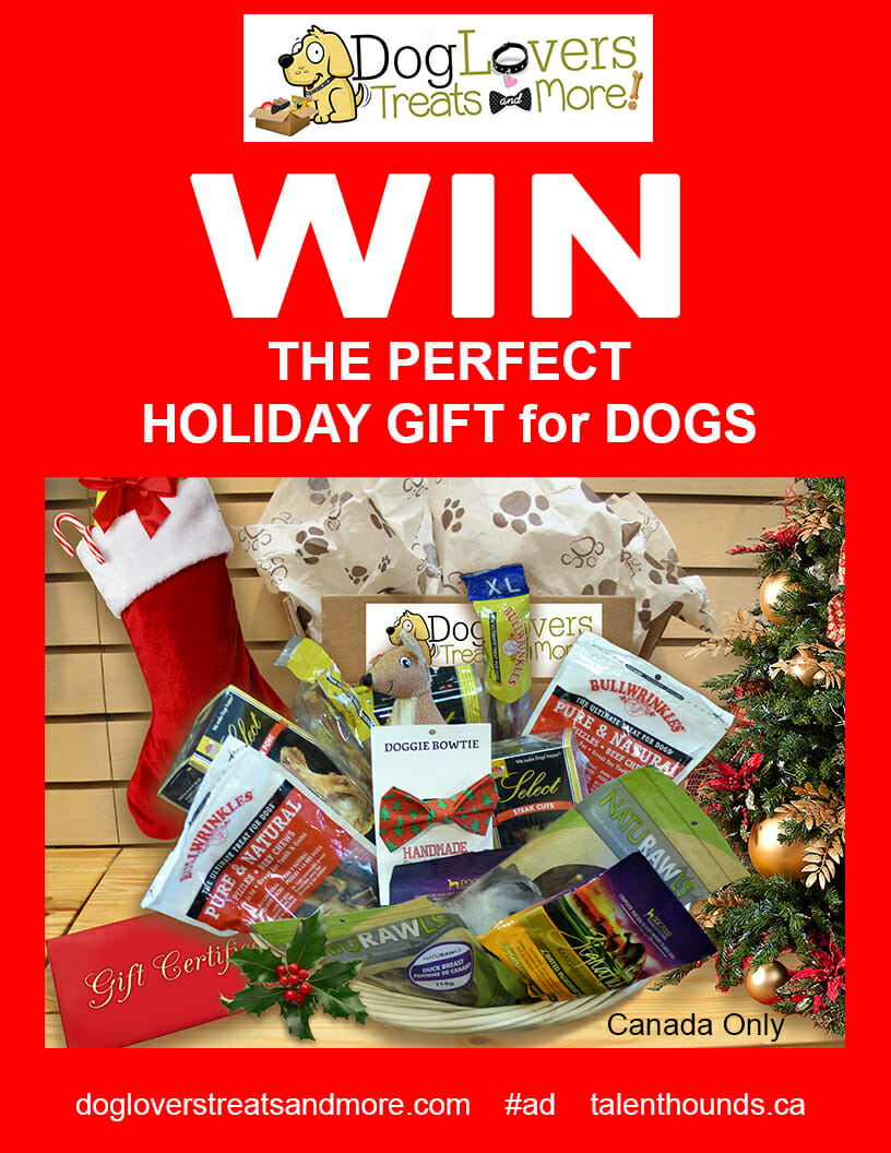 dog-lovers-holiday-gift