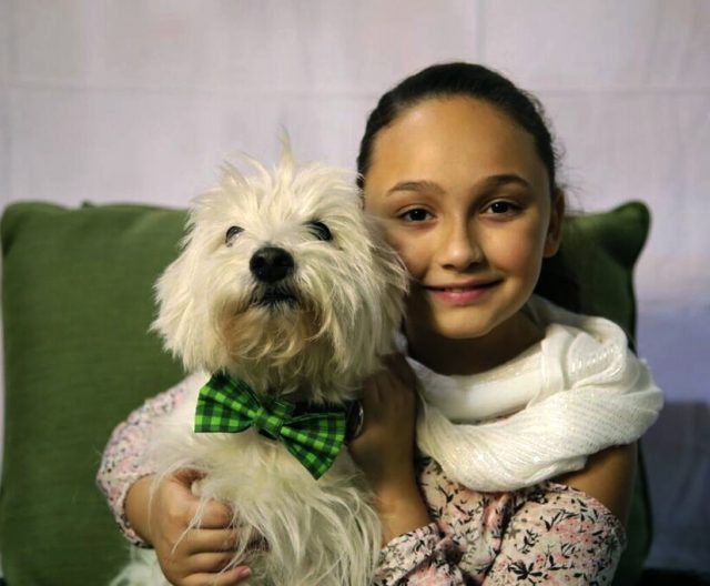 kids-pet-club-white-dog-with-green-bow-tie-at-the-toronto-christmas-pet-show-day-2