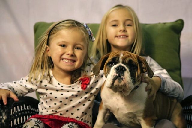 kids-pet-club-bulldog-and-little-girls-at-the-toronto-christmas-pet-show-day-2