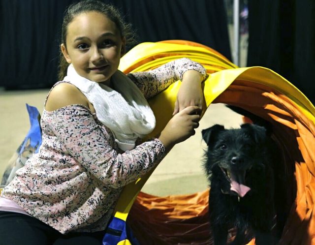 kids-pet-club-girl-with-black-dog-poses-with-agility-gear-at-the-toronto-christmas-pet-show-day-2