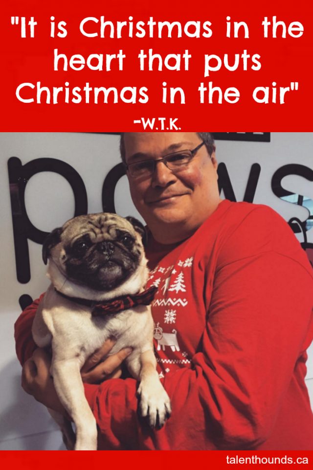 Fishstick the Pug and Tim spread joy with their inspirational quote. "Christmas in the heart puts Christmas in the air".
