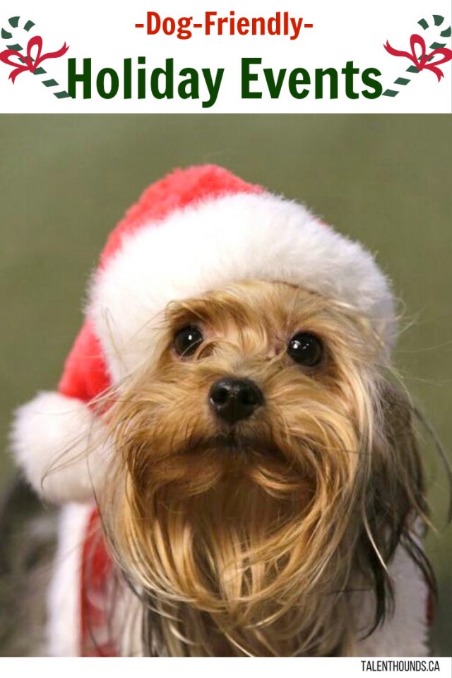see-our-list-of-dog-friendly-events-happening-in-ontario-this-holiday-season