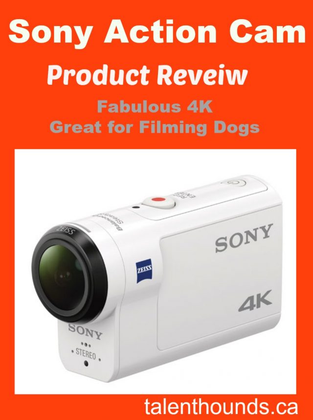 sony-action-cam-product-review-fabulous-4k-great-for-filming-dogs