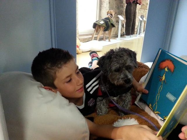 storm-therapy-dog-with-jayden-reading