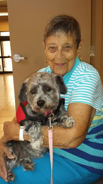 storm-therapy-dog-with-a-senior
