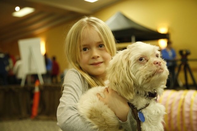 blond-girl-with-funny-littl-white-dog-at-dld