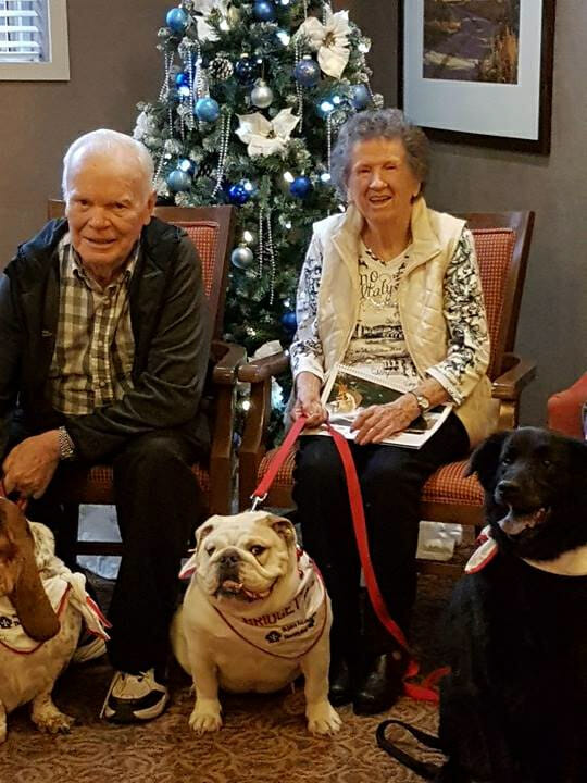 Bridgette the Therapy Bulldog and seniors