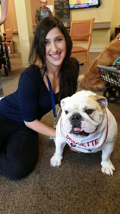 Bridgette the Therapy Bulldog smile