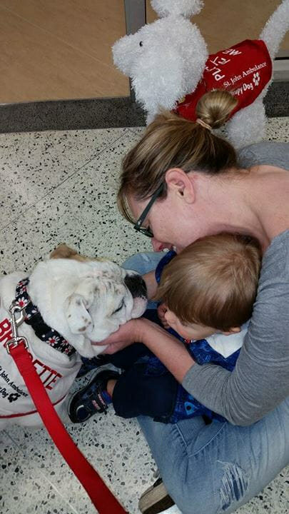 Bridgette the Therapy Bulldog with child and mom