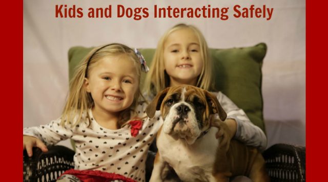 2 little girls and kids and their Bull Dog at Canadian Pet Expo -and-dogs-interacting-safely