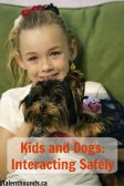 Kids and Dogs Safety Yorkie
