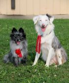 Zeeva and KenZee with red ribbons
