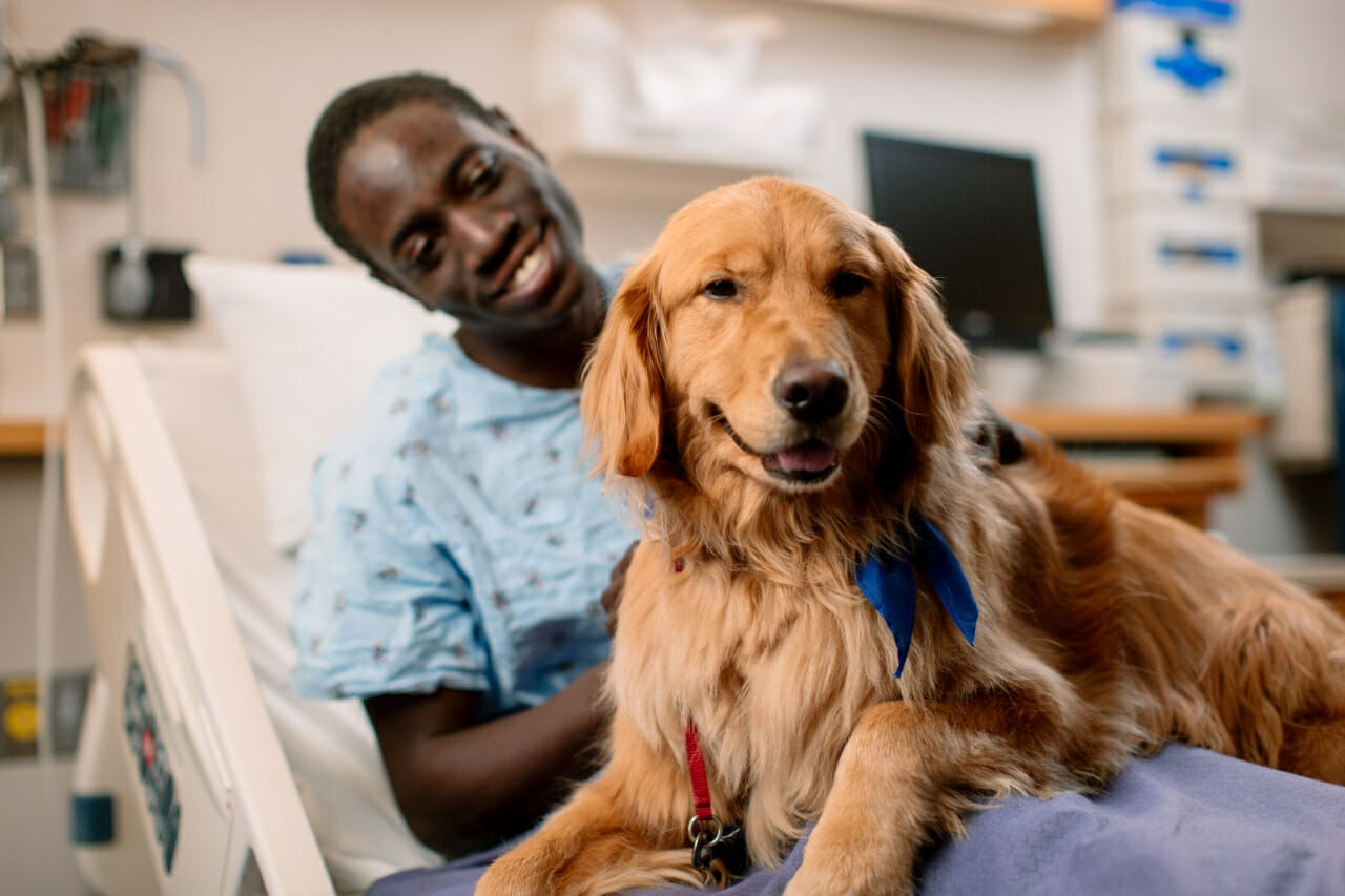 What Makes a Good Therapy Dog? Talent Hounds