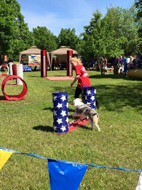 kenzee doing agility