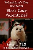 Enter our Talent Hounds Valentine's Day contest to win a C$25 Gift Card. Who's your Valentine this year?