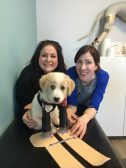 Cupid, Janice and Joan from PawsAbility, from TheDogRescuersInc Facebook