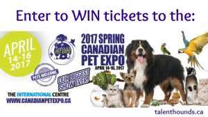 Enter to win tickets to the 2017 Canadian pet expo