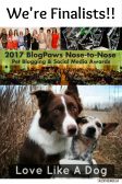 We're Nominated for BlogPaws 2017 Best Pet Video Award