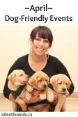 dog-friendly events this April