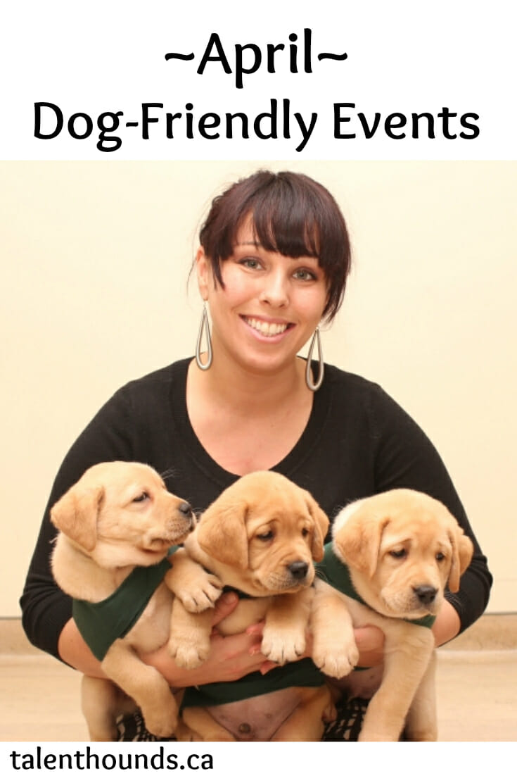 Enjoy the best dog friendly events this april