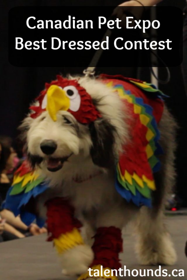 See our gallery and video of the best dressed contest at the CPE