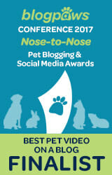 BlogPaws Best Video Nomination Badge