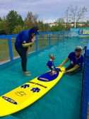 Coppertone catching some waves at Woofstock