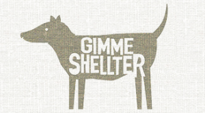 Gimme Shell-ter logo