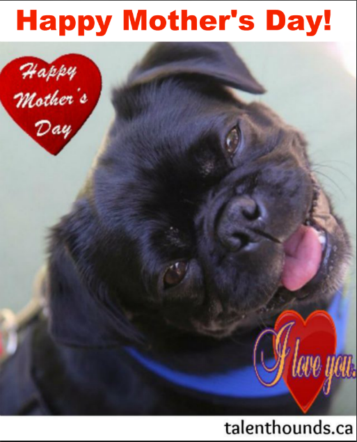 Happy Mother's Day 2017 DIY Card Love Kilo The Pug