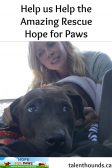 Help us help the amazing Hope for Paws save Rescue Dogs. Watch and subscribe during the promotional period to make a difference