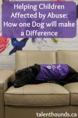 Helping children affected by abuse, Facility Dog Iggy from National Service Dogs joins Boost and makes a difference