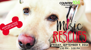 Music Rescues 2016 Poster