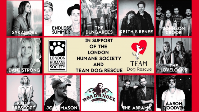 music rescue registration music rescue registration