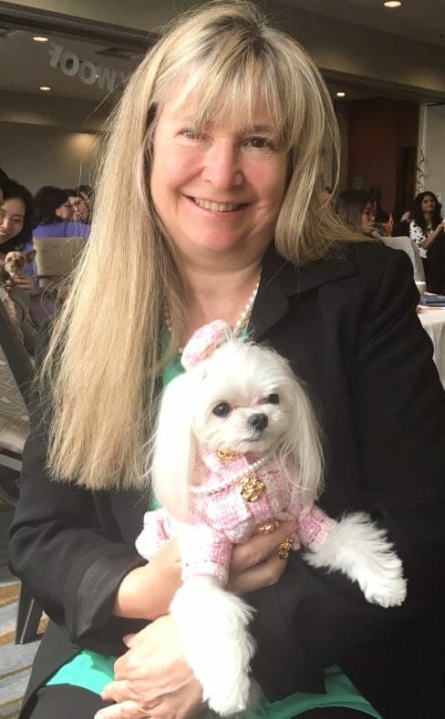 Susie and Ms Charmin in her celebrity dog costume at the Woofstock High Tea 2017