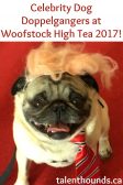 Check out the whimsical Wooftsock High Tea Doppelganger Celebrity Dog Costumes