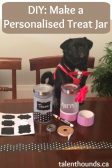 Watch our straight forward video on how to make a personalised treat jar for your dog