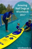 Check out our video of the amazing surfing dogs at woofstock 2017