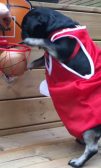 Kilo playin Basketball