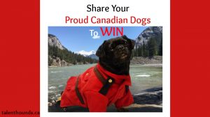 Share Your Proud Canadian Dogs to win