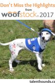 Talent Hounds Wonderful Woofstock 2017 Round-Up