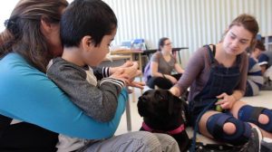 attentive COPE dog with little boy