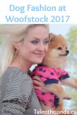dog fashion in the ruff stitched fashion show at woofstock 2017