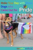 make your day with these adorable dogs who came out for pride TO
