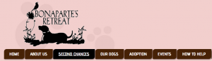 Emmylou Harris' foundations website