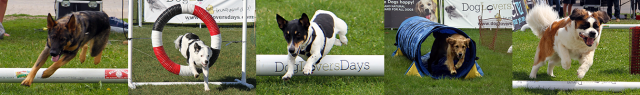Dog Lovers Days banner2