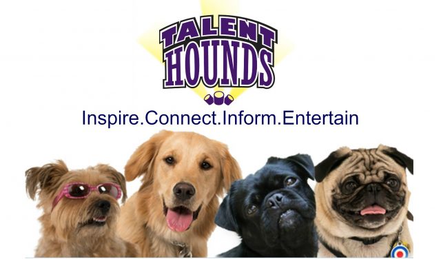 About Talent Hounds Content Hub and Community for Dog Lovers Feature Image
