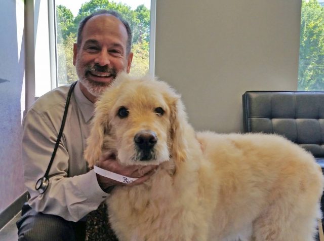 Bocker Labradoodle and his Canine Oncologist Vet Dr Post